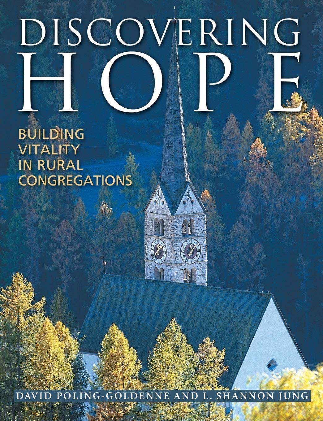 Discovering Hope: Building Vitality in Rural Congregations,Used