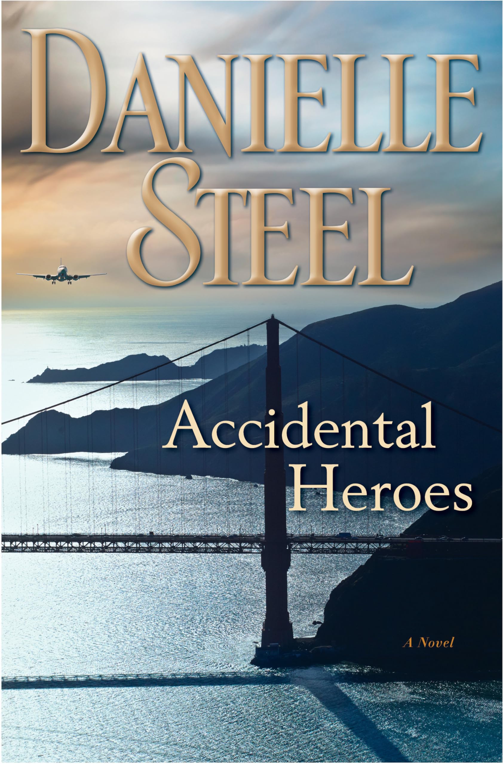 Accidental Heroes: A Novel,Used