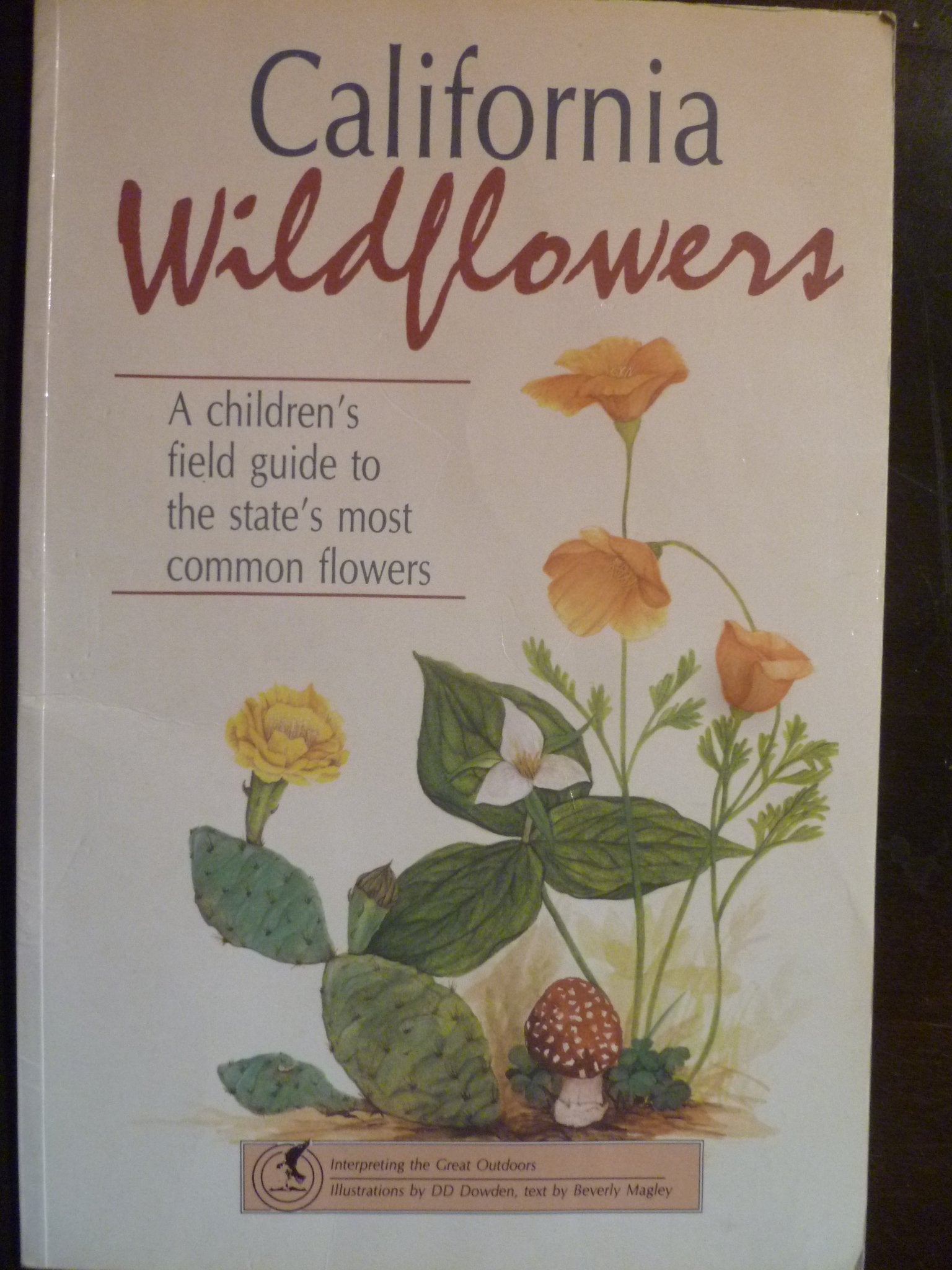 California Wildflowers: A Children's Field Guide to the State's Most Common Flowers (Interpreting the Great Outdoors),Used
