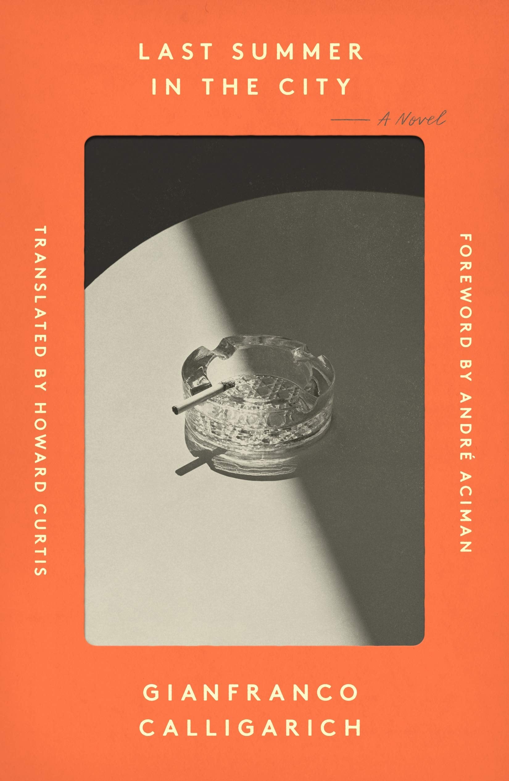 Last Summer in the City: A Novel,Used