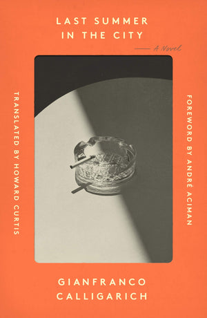 Last Summer in the City: A Novel,Used
