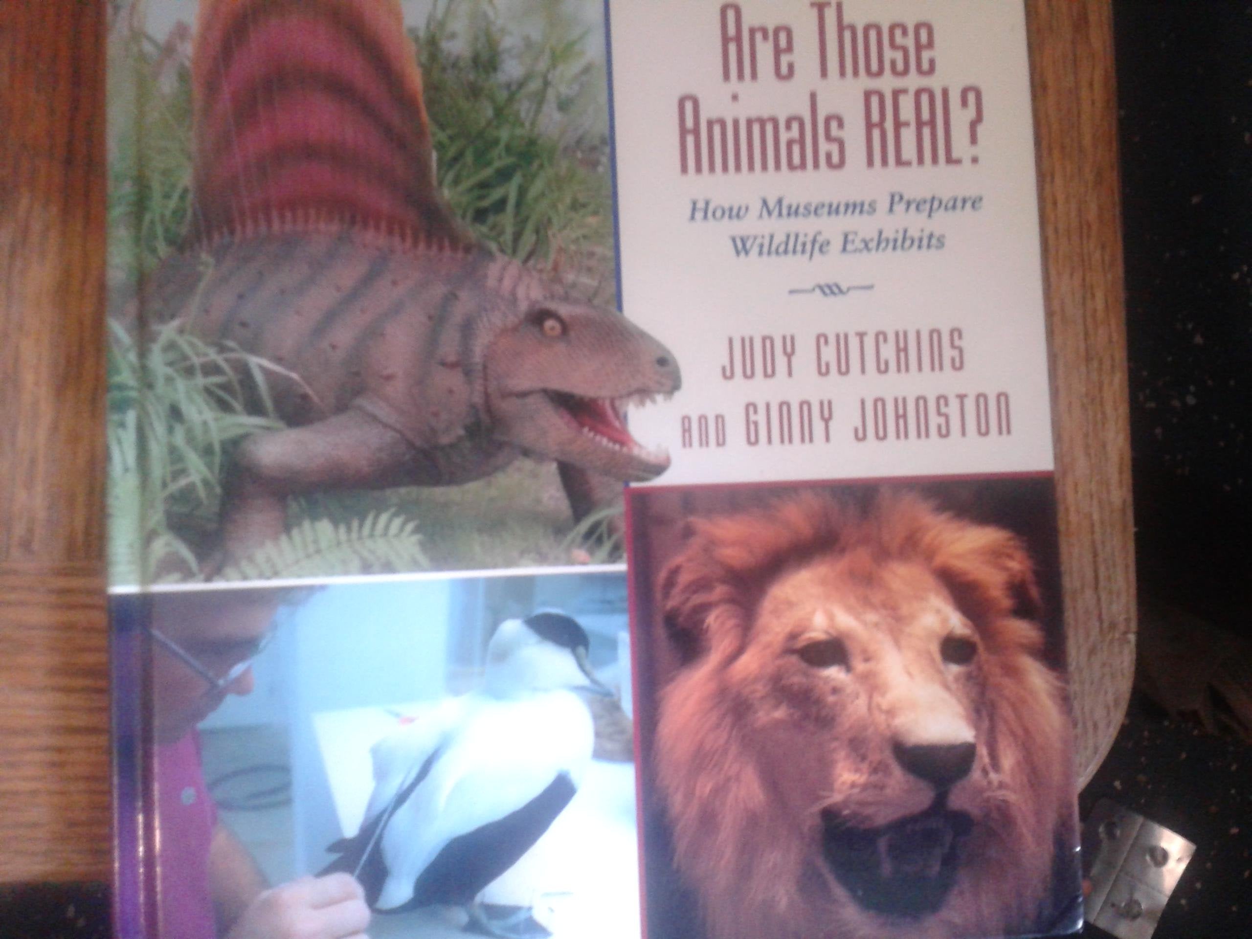 Are Those Animals Real?: How Museums Prepare Wildlife Exhibits,Used