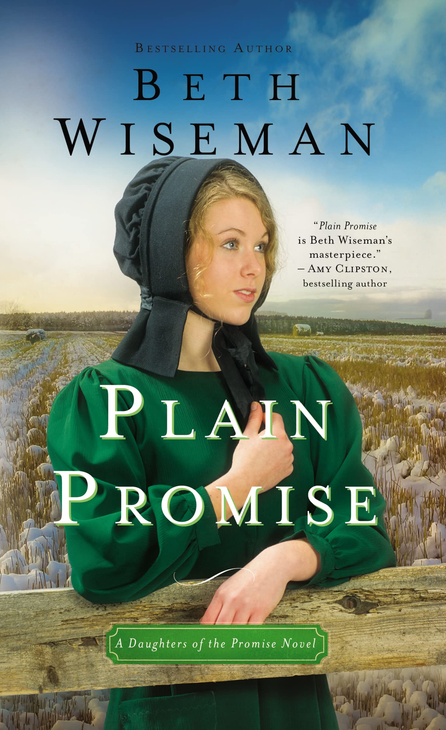 Plain Promise (A Daughters of the Promise Novel),New