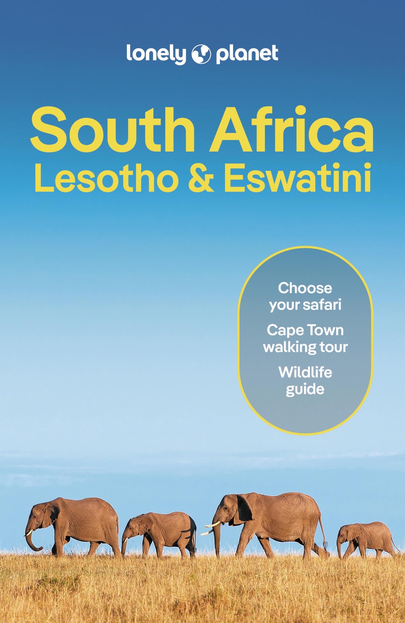 Lonely Planet South Africa, Lesotho & Eswatini (Travel Guide),New