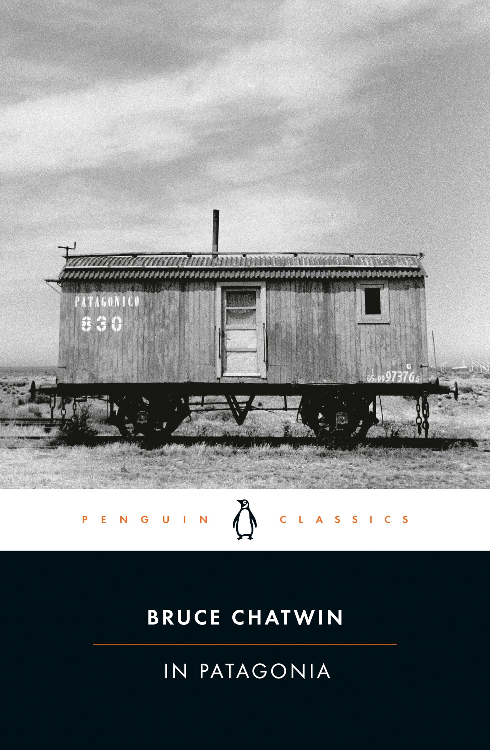 In Patagonia (Penguin Classics),New