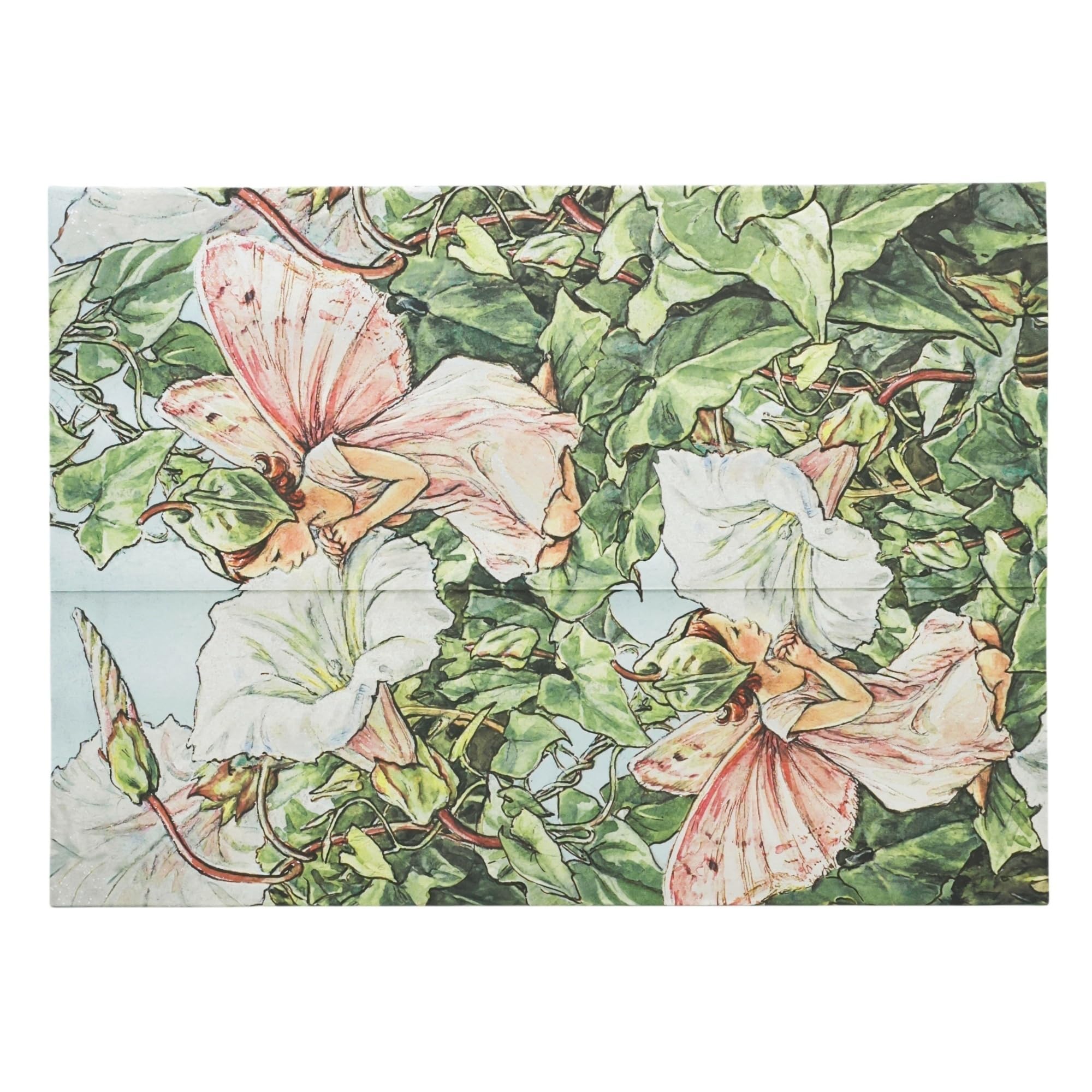 Paperblanks | Bindweed Fairy | Flower Fairies | Document Folder | Wrap