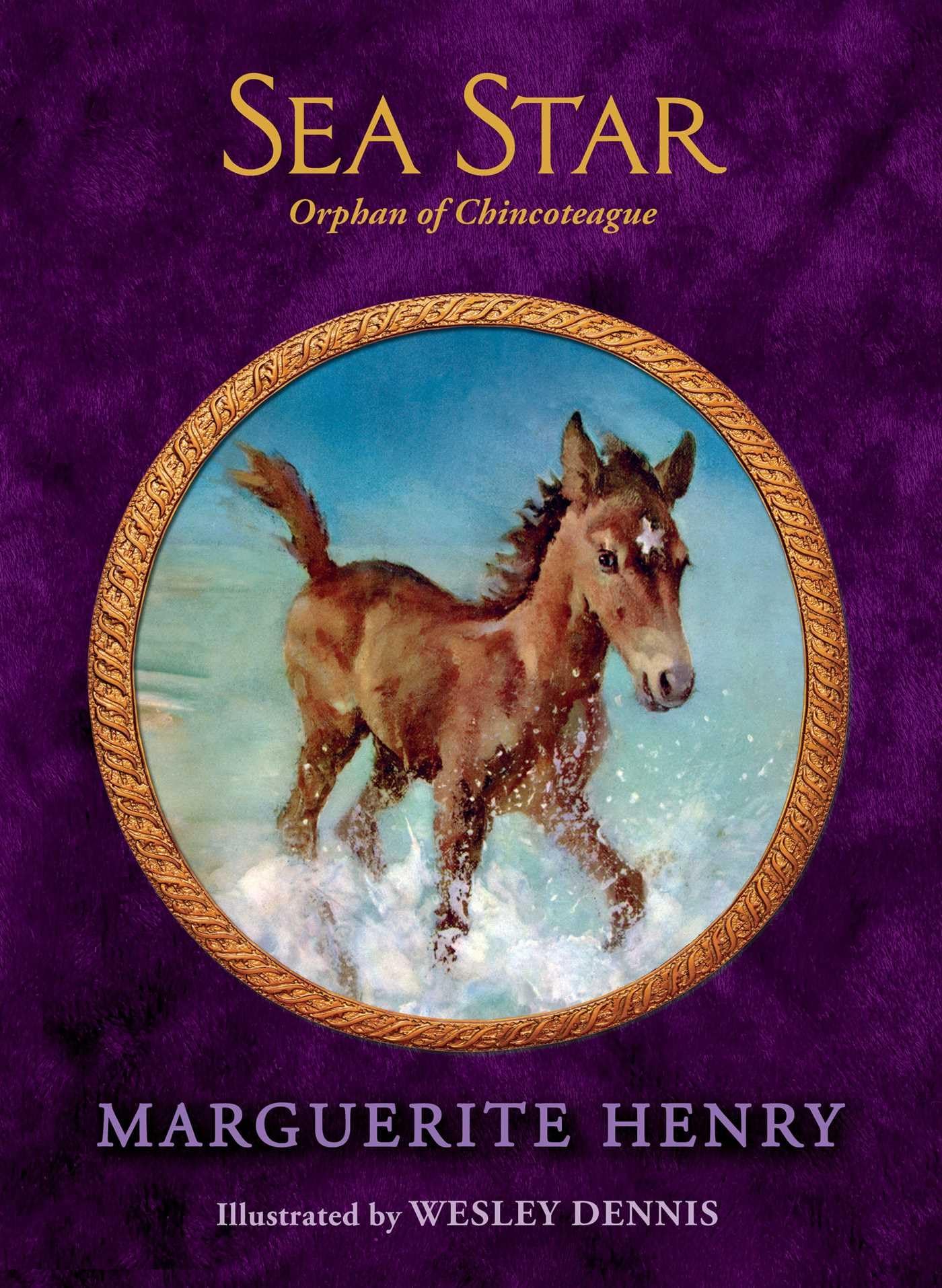 Sea Star: Orphan of Chincoteague,Used