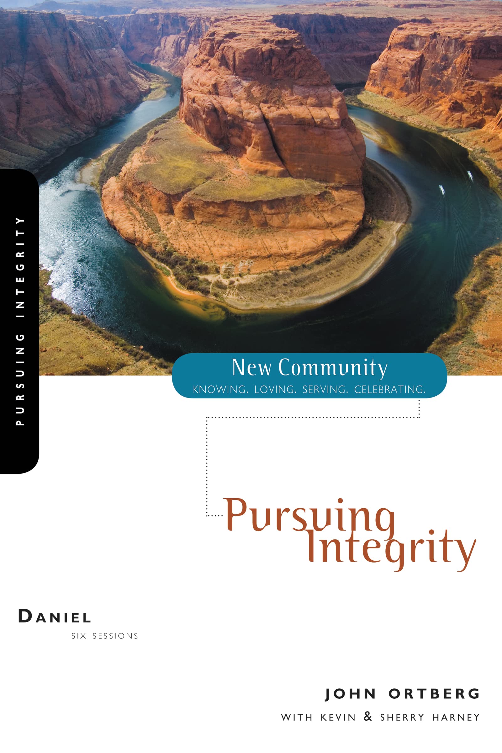 Daniel: Pursuing Integrity (New Community Bible Study Series),Used