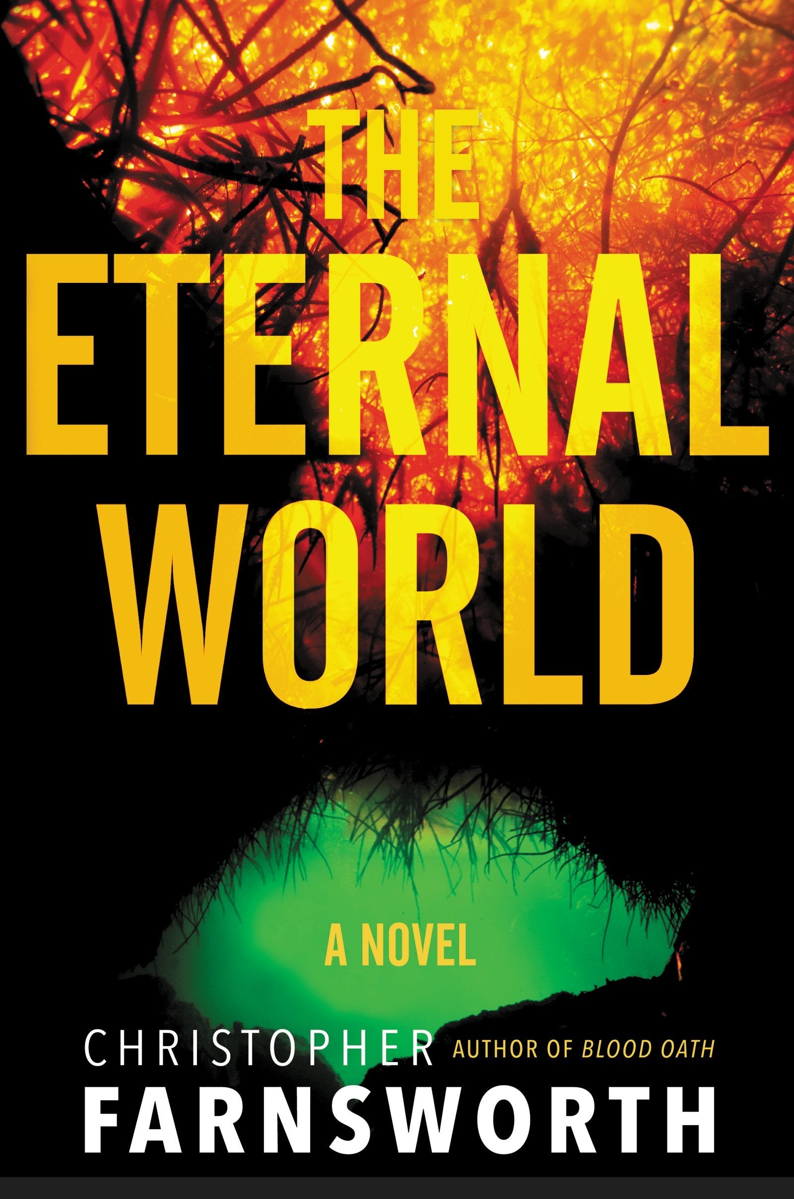 The Eternal World: A Novel,Used