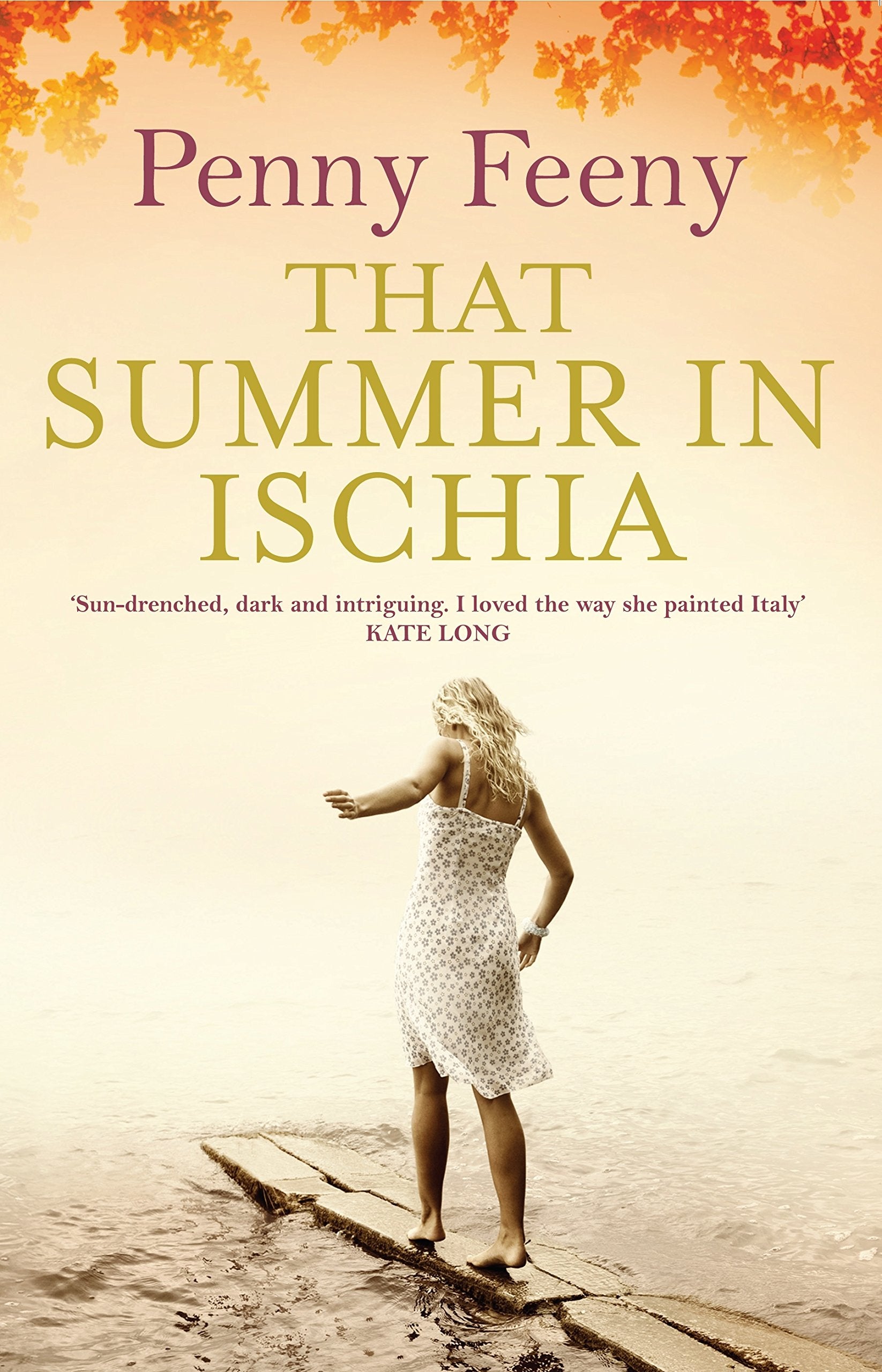 That Summer in Ishcia,Used