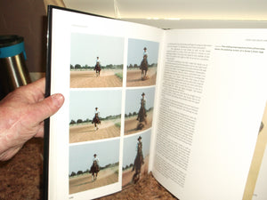 Reining: The Art of Performance in Horses,New