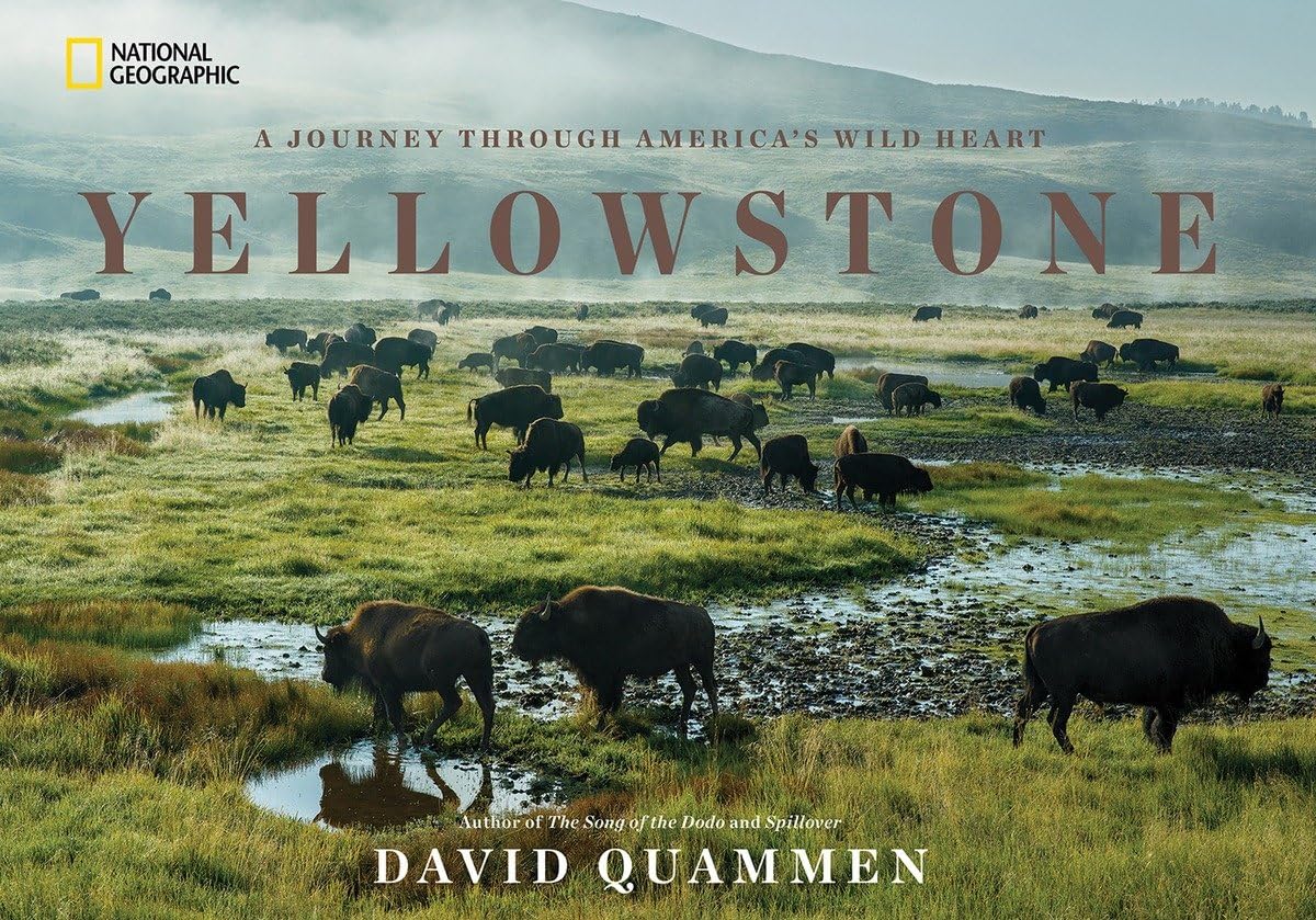 Yellowstone: A Journey Through America's Wild Heart,Used