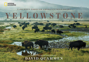 Yellowstone: A Journey Through America's Wild Heart,Used