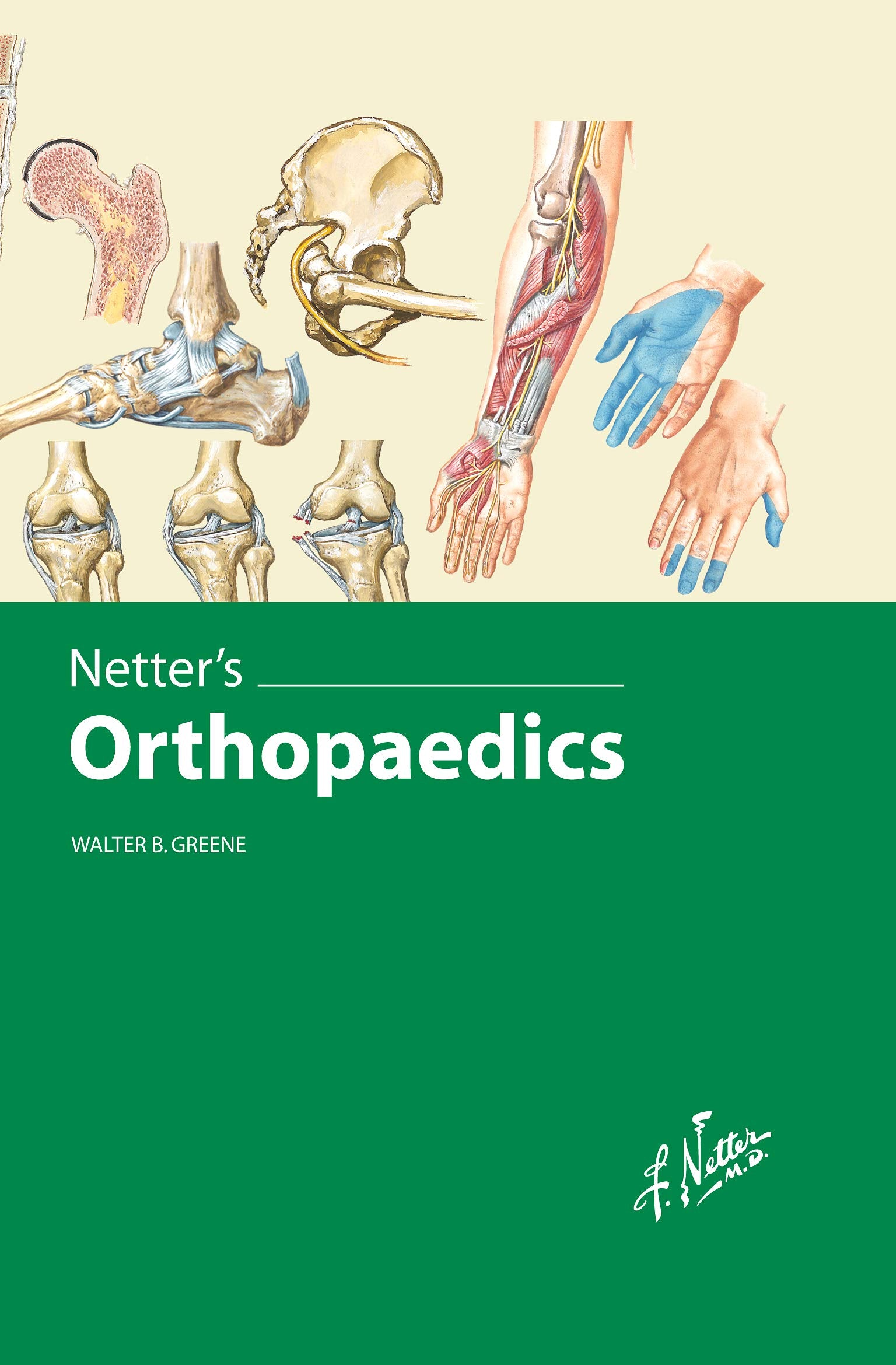 Netter's Orthopaedics, 1e,Used