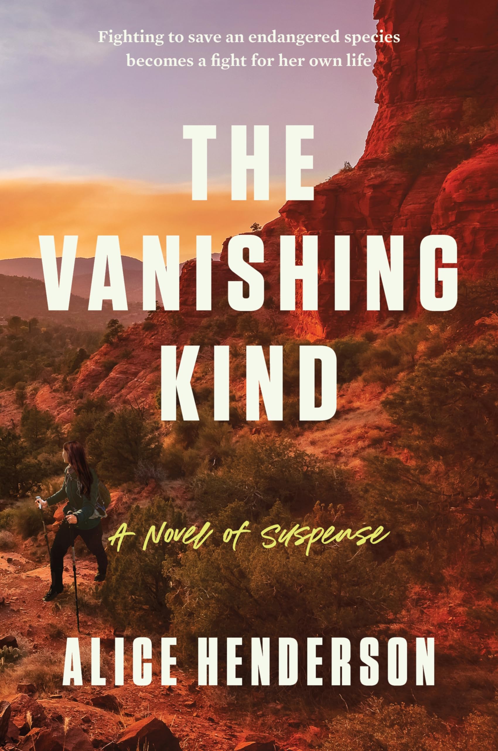 The Vanishing Kind: A Novel Of Suspense (Alex Carter Series, 4)