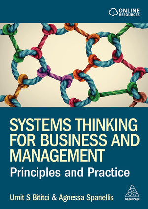 Systems Thinking for Business and Management: Principles and Practice,Used