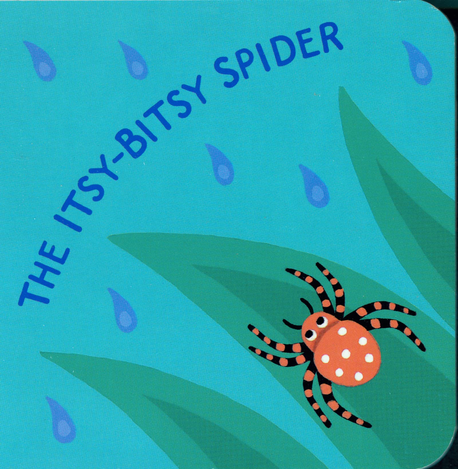 The ItsyBitsy Spider,Used