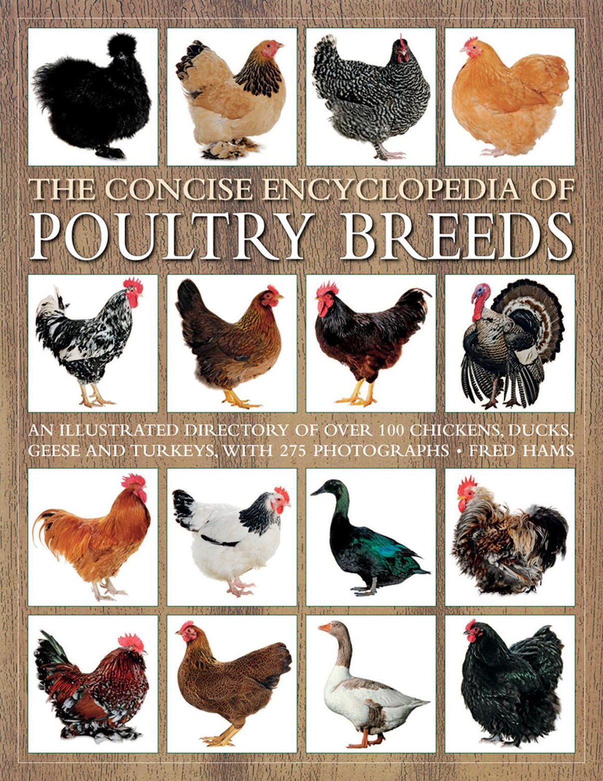 The Concise Encyclopedia Of Poultry Breeds: An Illustrated Directory Of Over 100 Chickens, Ducks, Geese And Turkeys, With 275 Ph