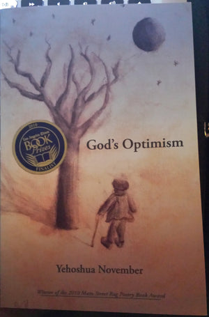 God's Optimism,Used