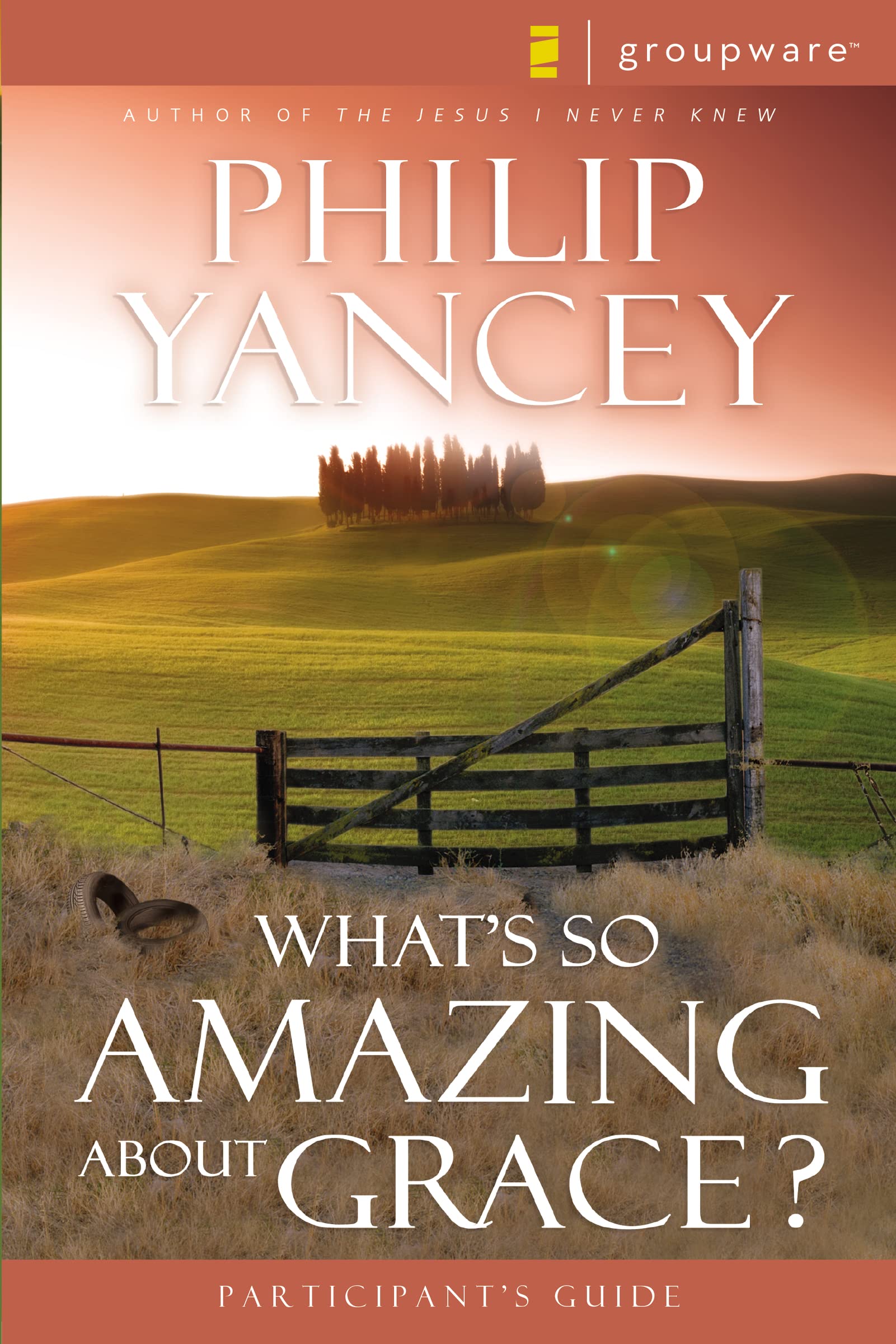 What's So Amazing About Grace? Participant's Guide,Used