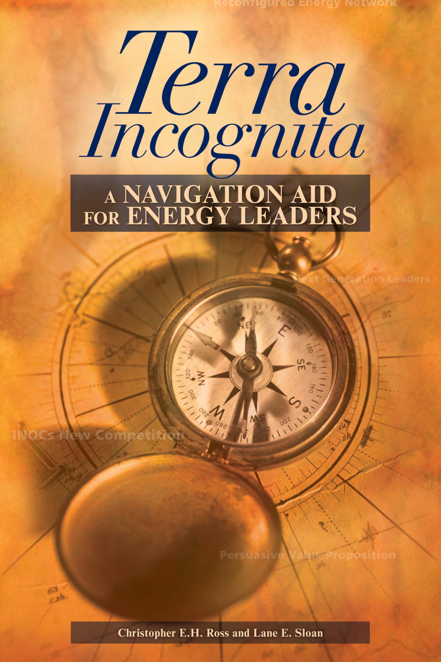 Terra Incognita: A Navigation Aid for Energy Leaders,Used