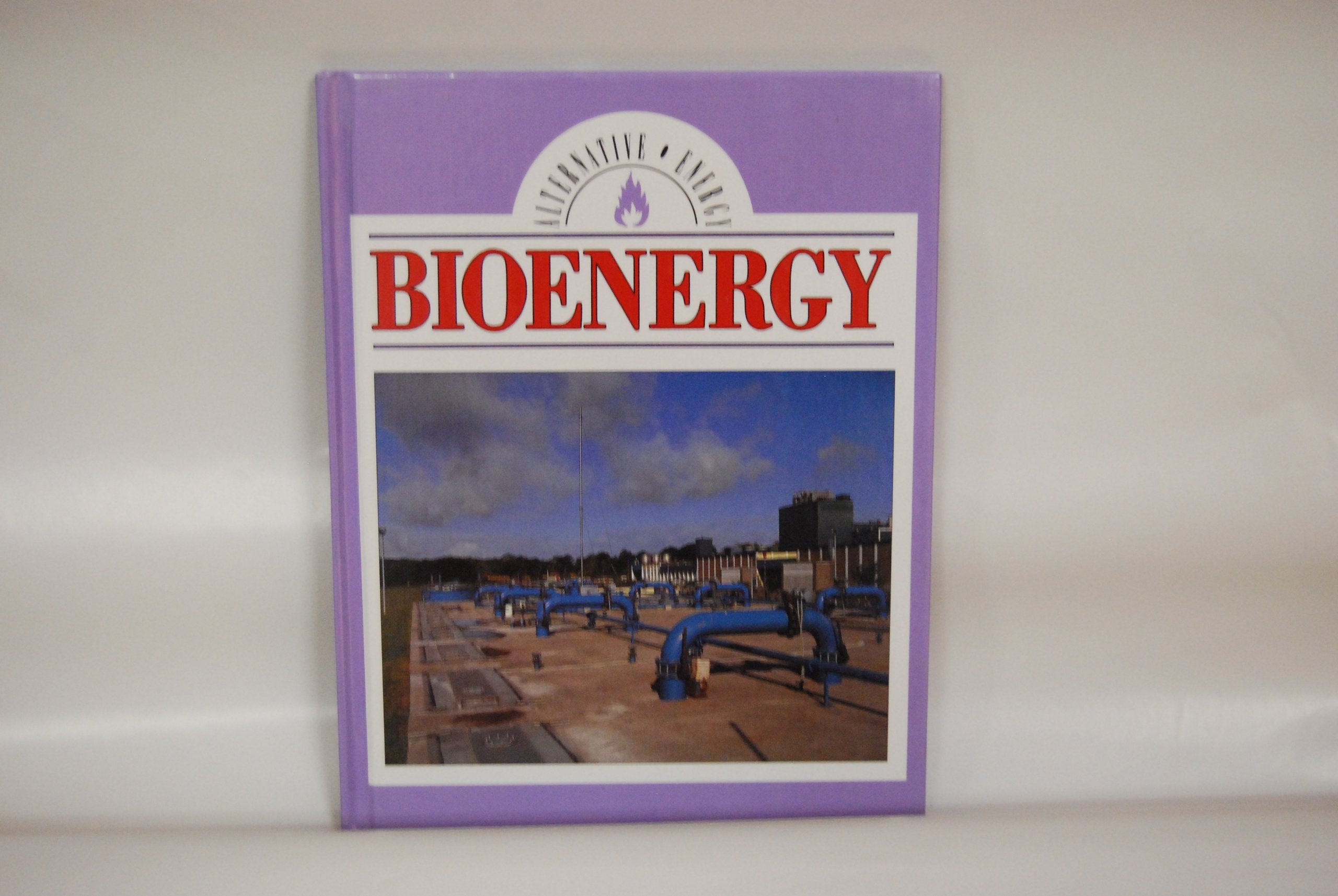 Bioenergy (Alternative Energy Series),Used