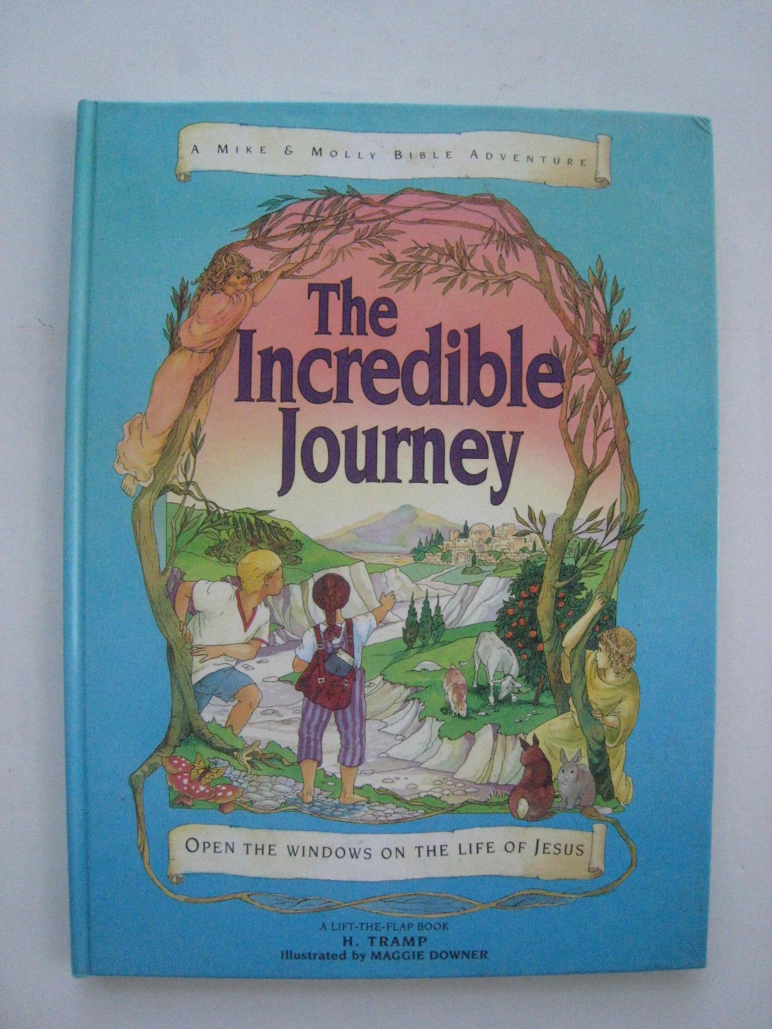 The Incredible Journey: A LiftTheFlap Book (Mike & Molly Bible Adventure),Used