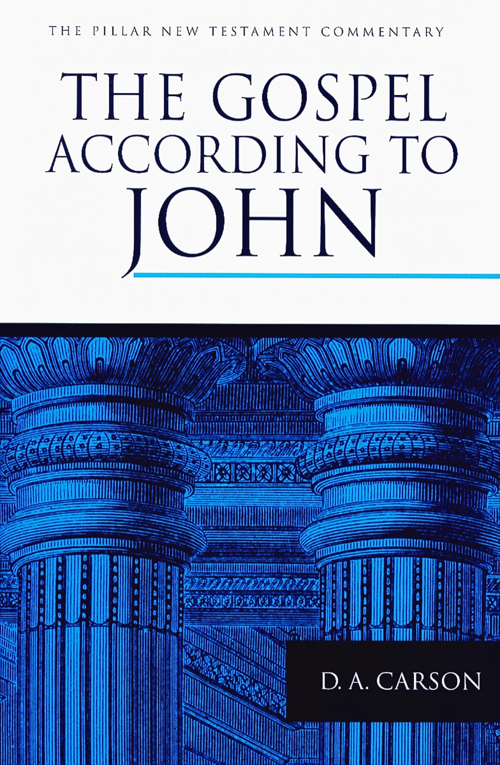 The Gospel according to John (The Pillar New Testament Commentary (PNTC)),Used