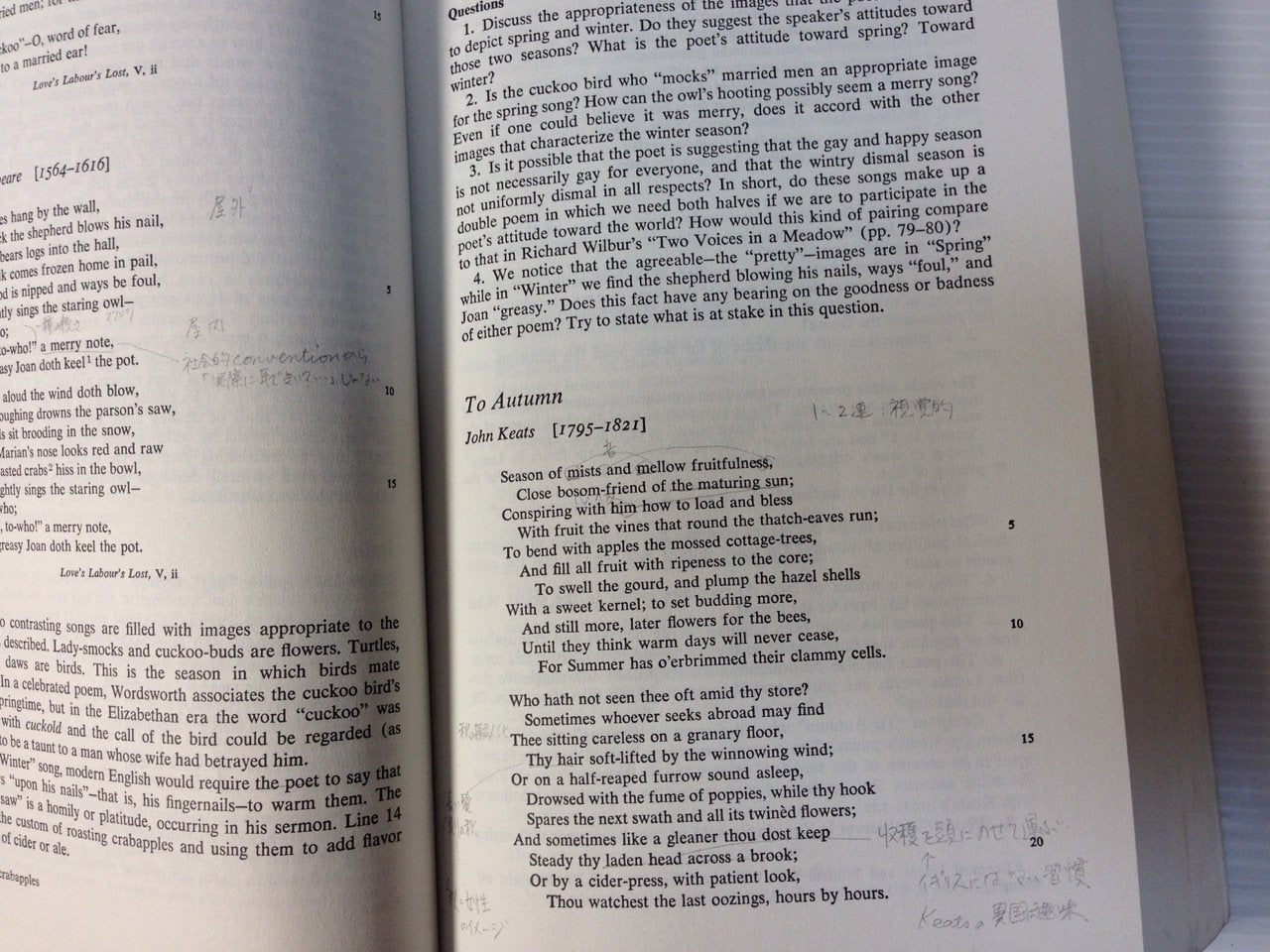 Understanding Poetry-used