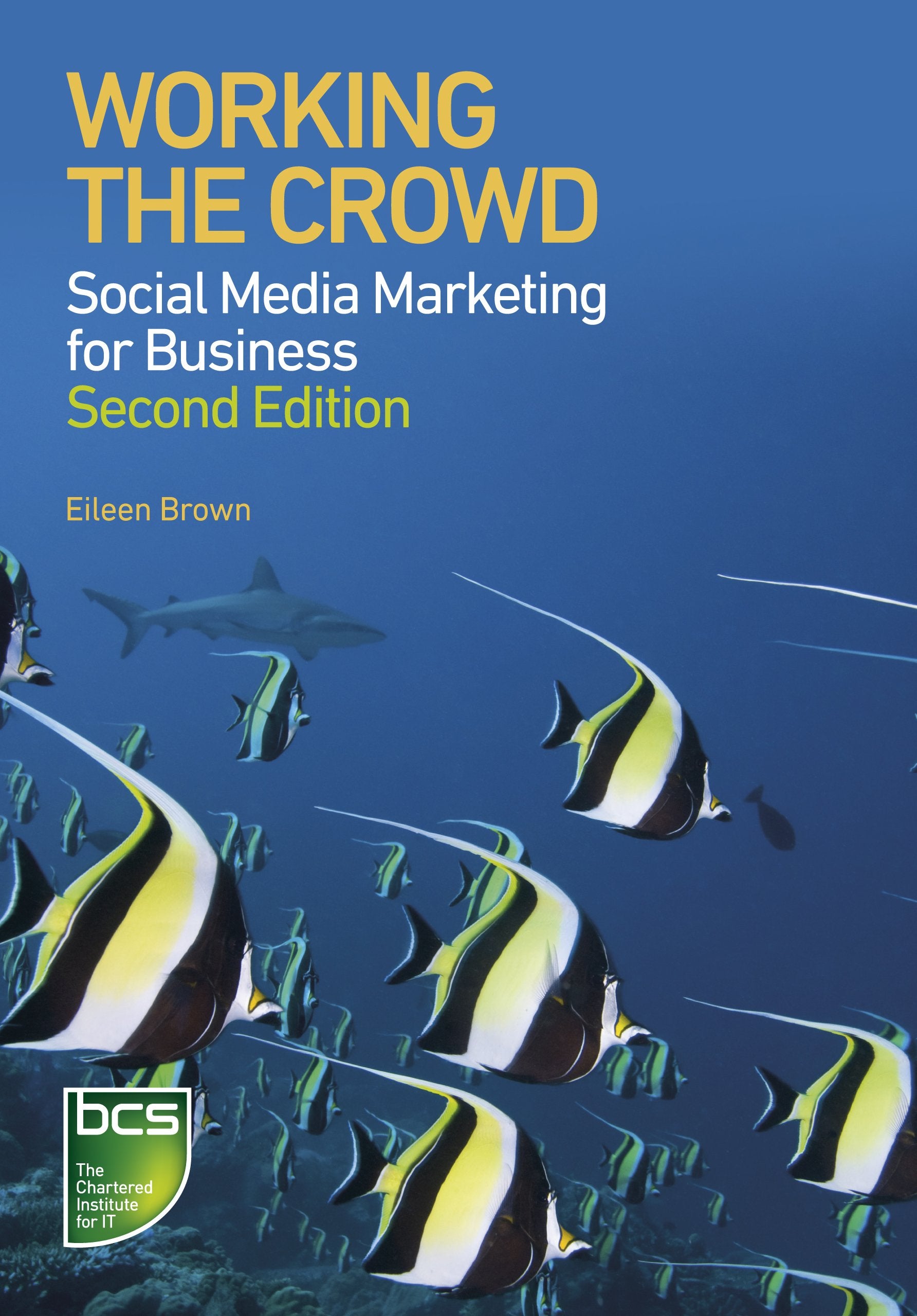 Working the Crowd: Social media marketing for business,Used