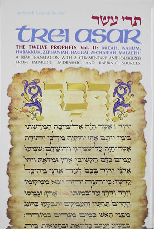 Trei Asar: The Twelve Prophets Vol. II: / A New Translation With A Commentary Anthologized From Talmudic, Midrashic, And Rabbini,New