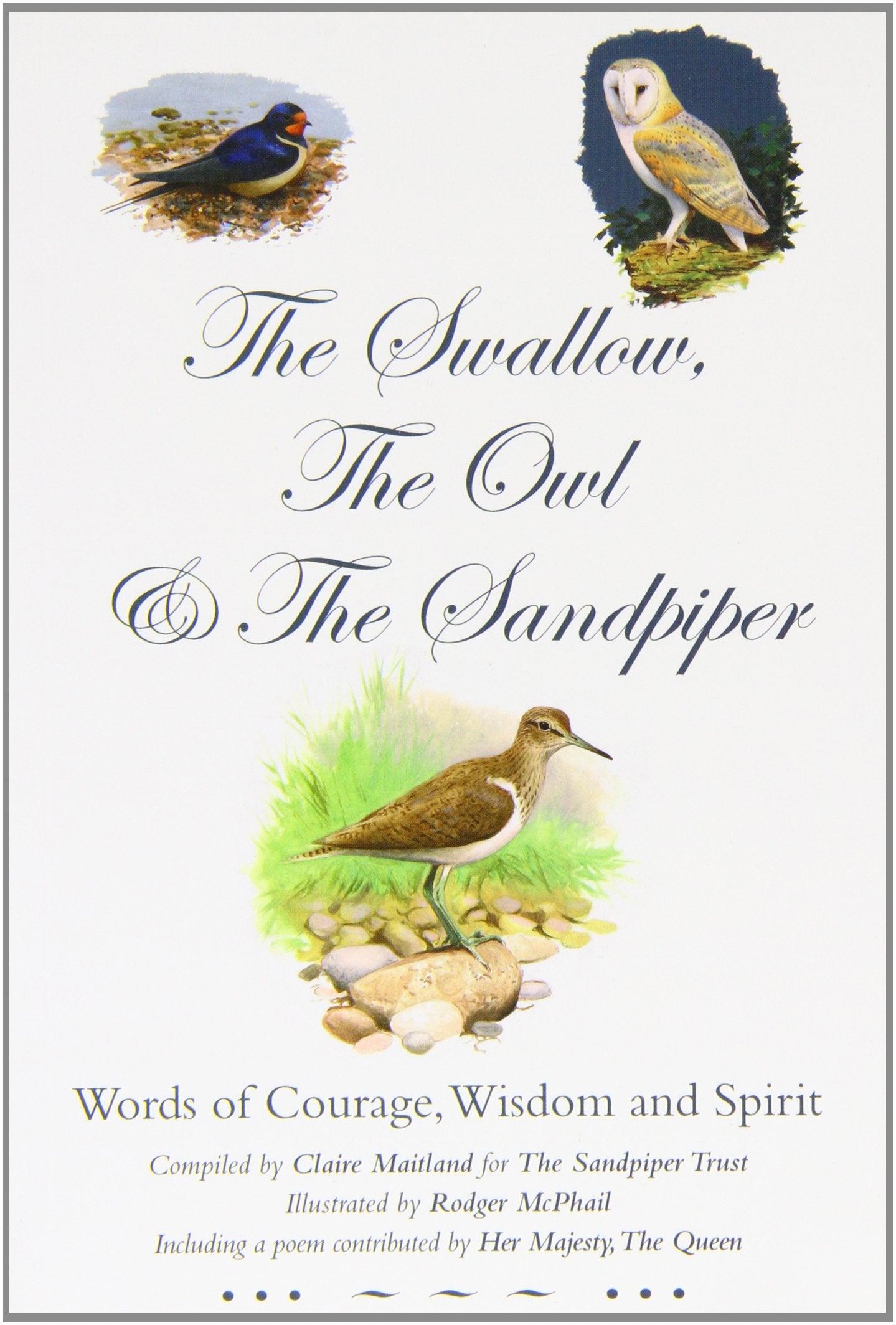 Swallow The Owl & The Sandpiper,Used