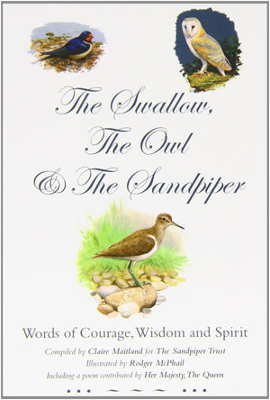 Swallow The Owl & The Sandpiper,Used