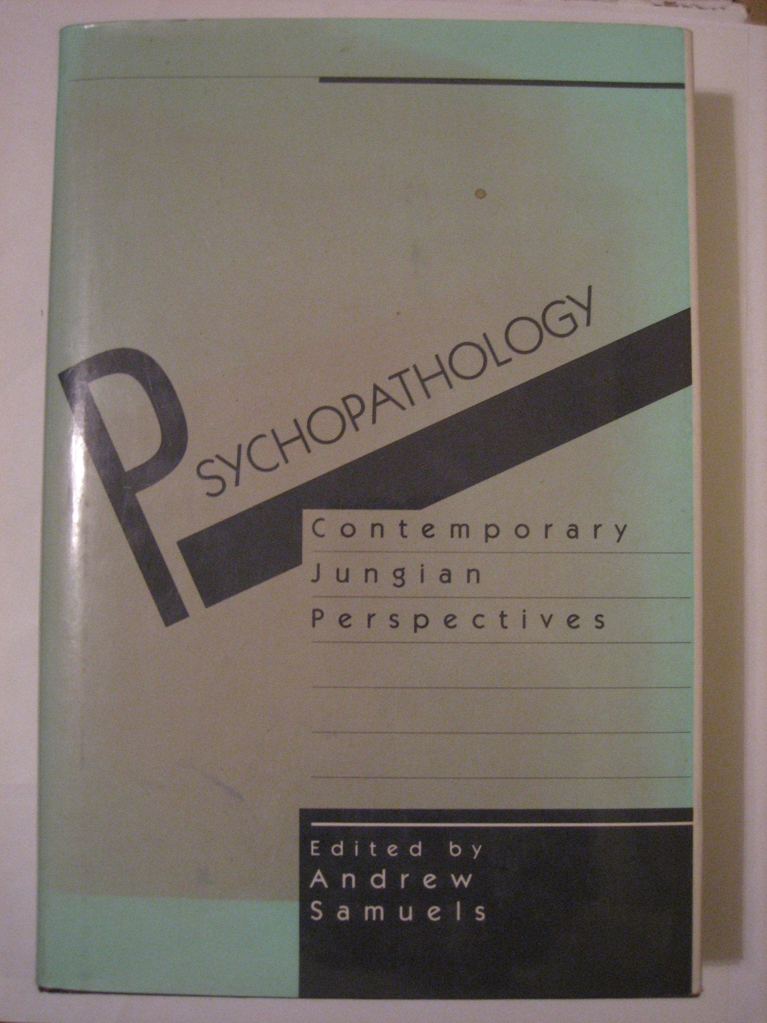 Psychopathology: Contemporary Jungian Perspectives,New