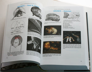 The ABC & XYZ of Bee Culture: An Encyclopedia Pertaining to the Scientific and Practical Culture of Honey Bees,Used
