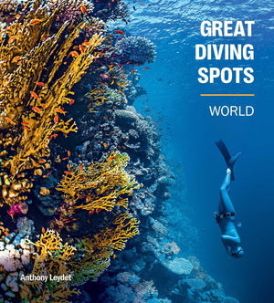 Great Diving Spots  World