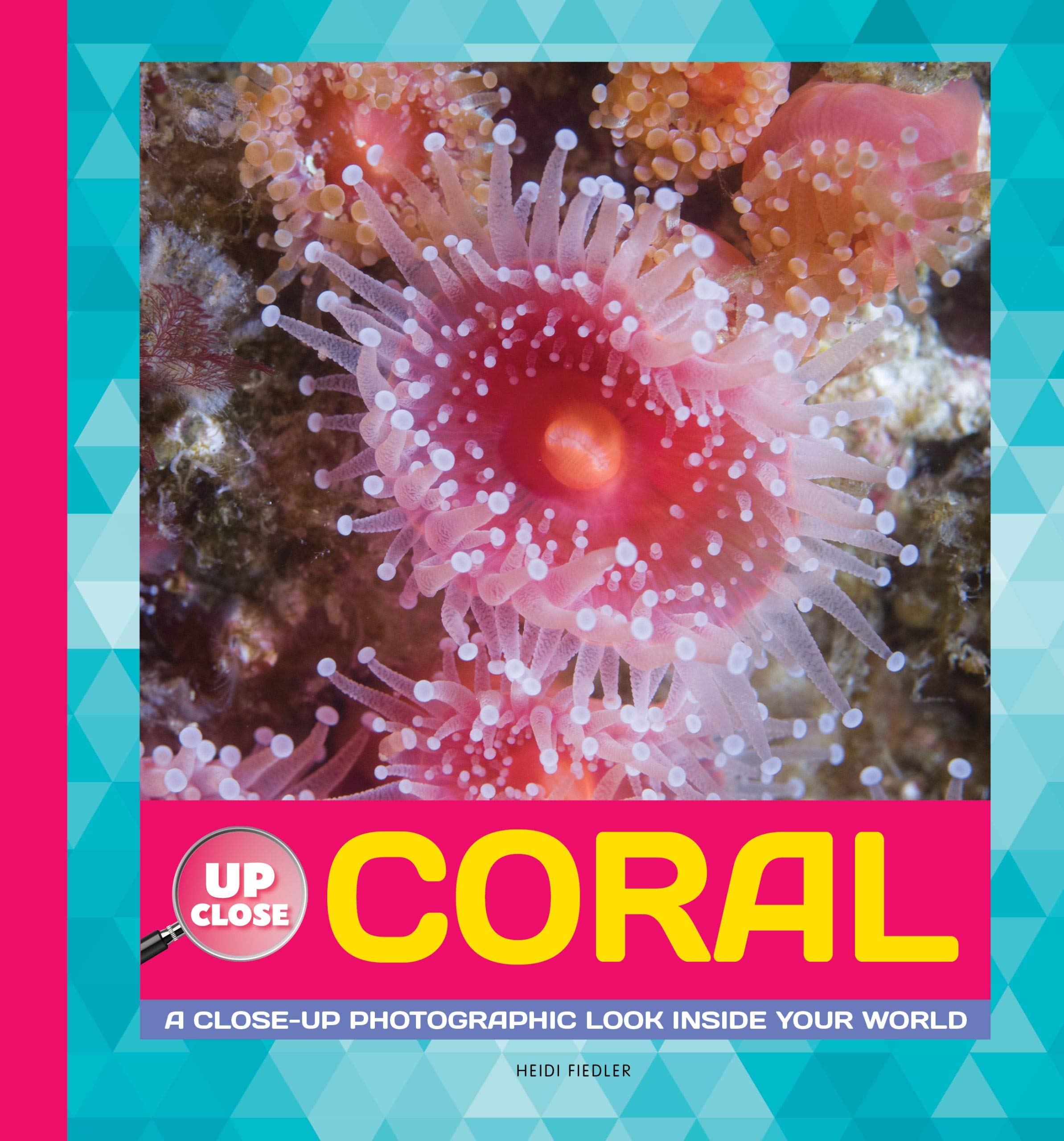 Coral: A Closeup Photographic Look Inside Your World (Up Close),Used