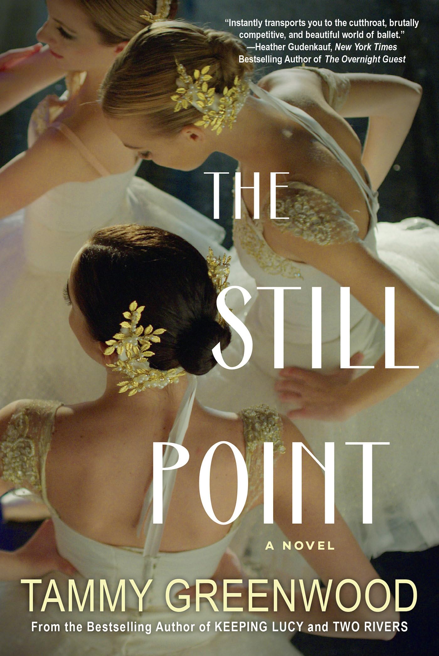 The Still Point: An Addictive Novel Of Desire And Jealousy,Used