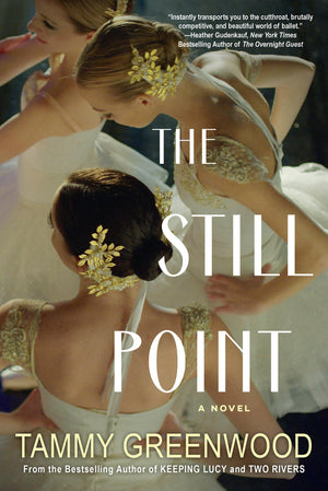 The Still Point: An Addictive Novel Of Desire And Jealousy,Used