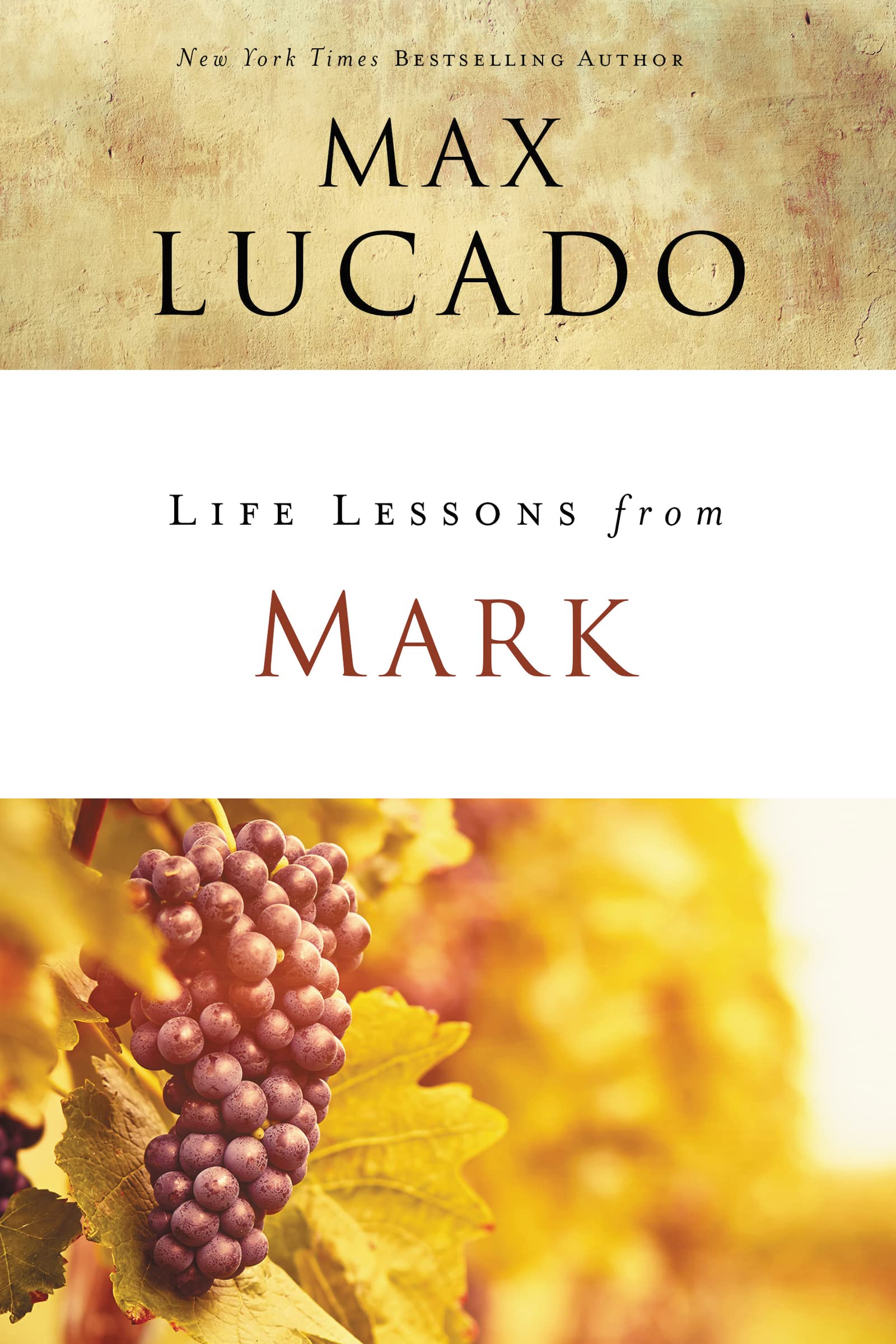 Life Lessons from Mark: A LifeChanging Story,Used
