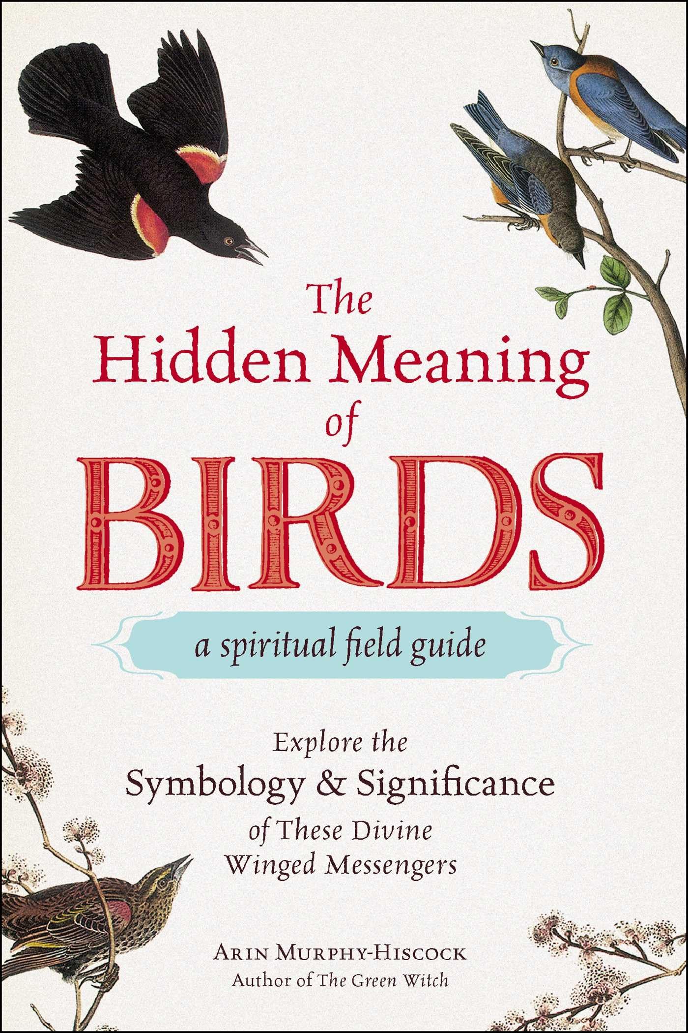 The Hidden Meaning of BirdsA Spiritual Field Guide: Explore the Symbology and Significance of These Divine Winged Messengers,Used