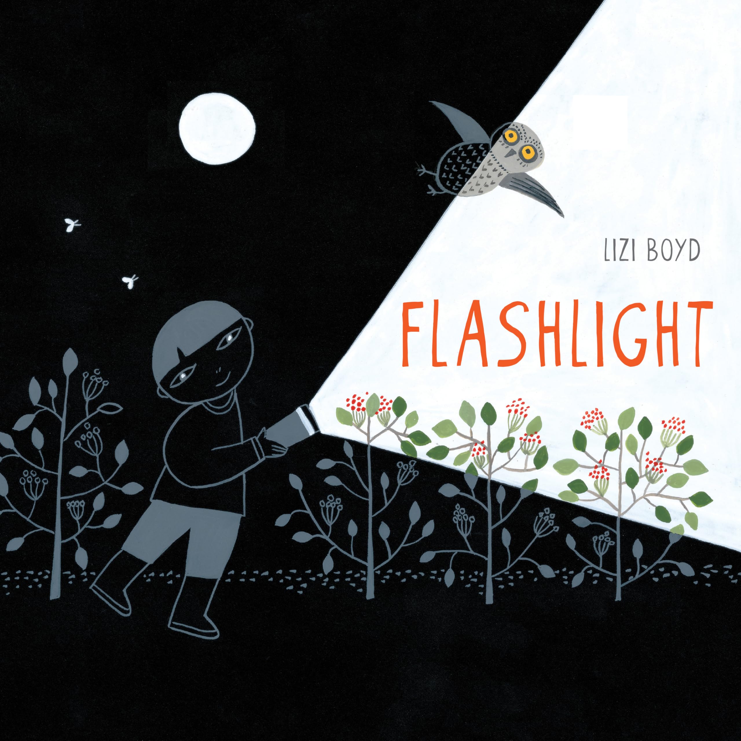Flashlight: (Picture Books, Wordless Books for Kids, Camping Books for Kids, Bedtime Story Books, Children's Activity Books, Chi,Used
