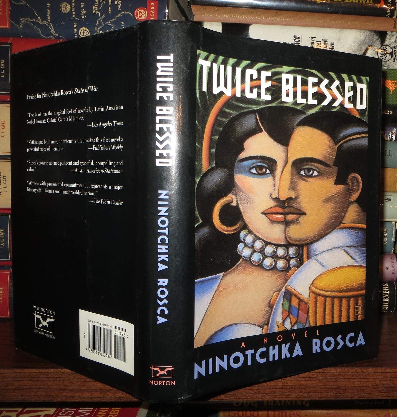 Twice Blessed: A Novel,New
