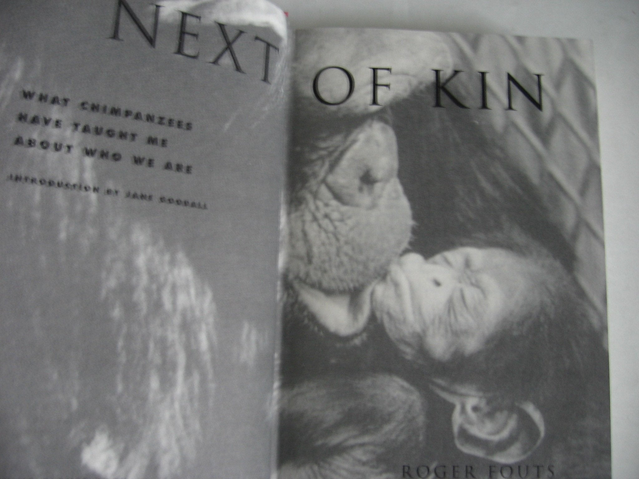 Next of Kin: What Chimpanzees Have Taught Me About Who We Are,New