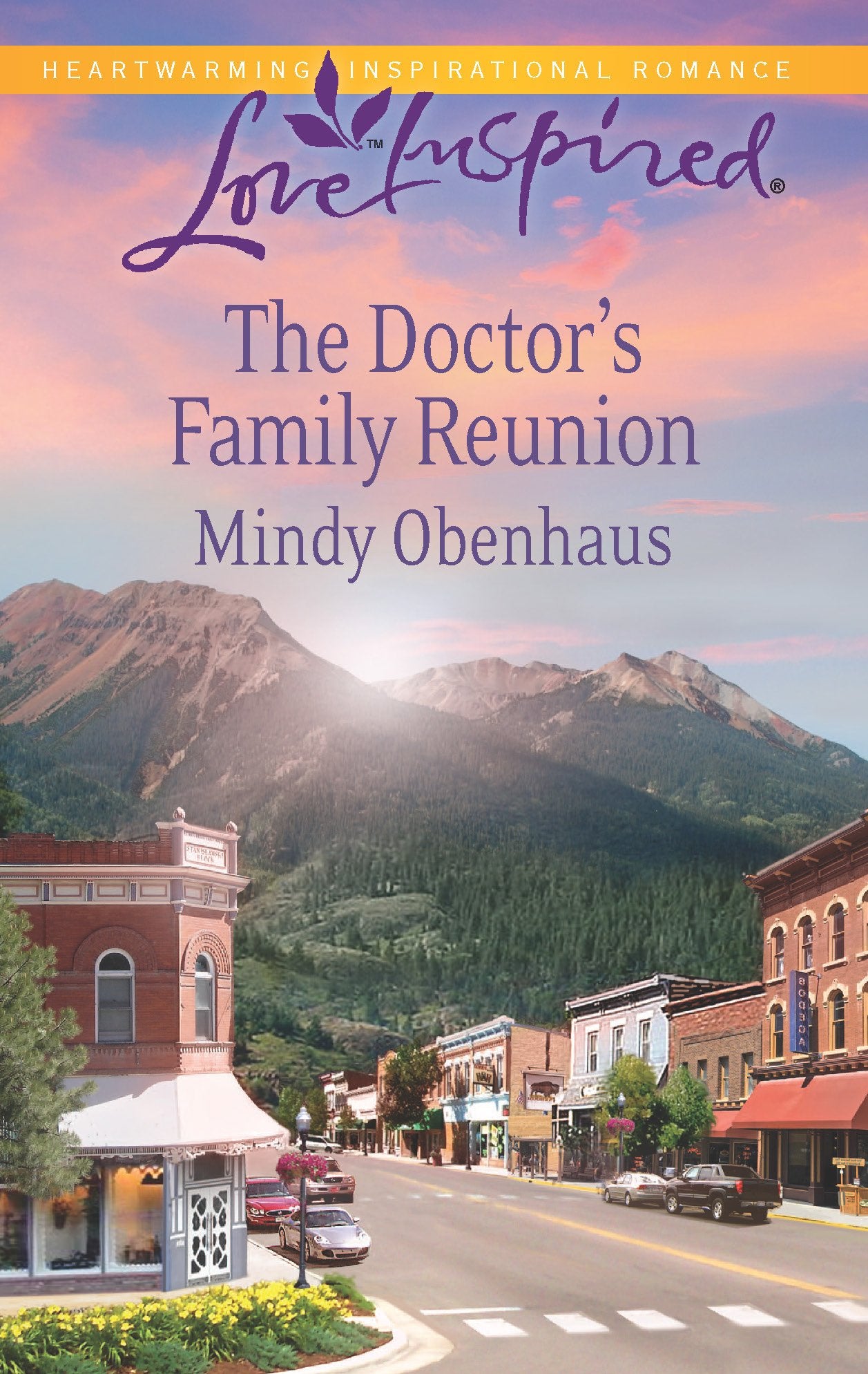 The Doctor's Family Reunion (Love Inspired),Used