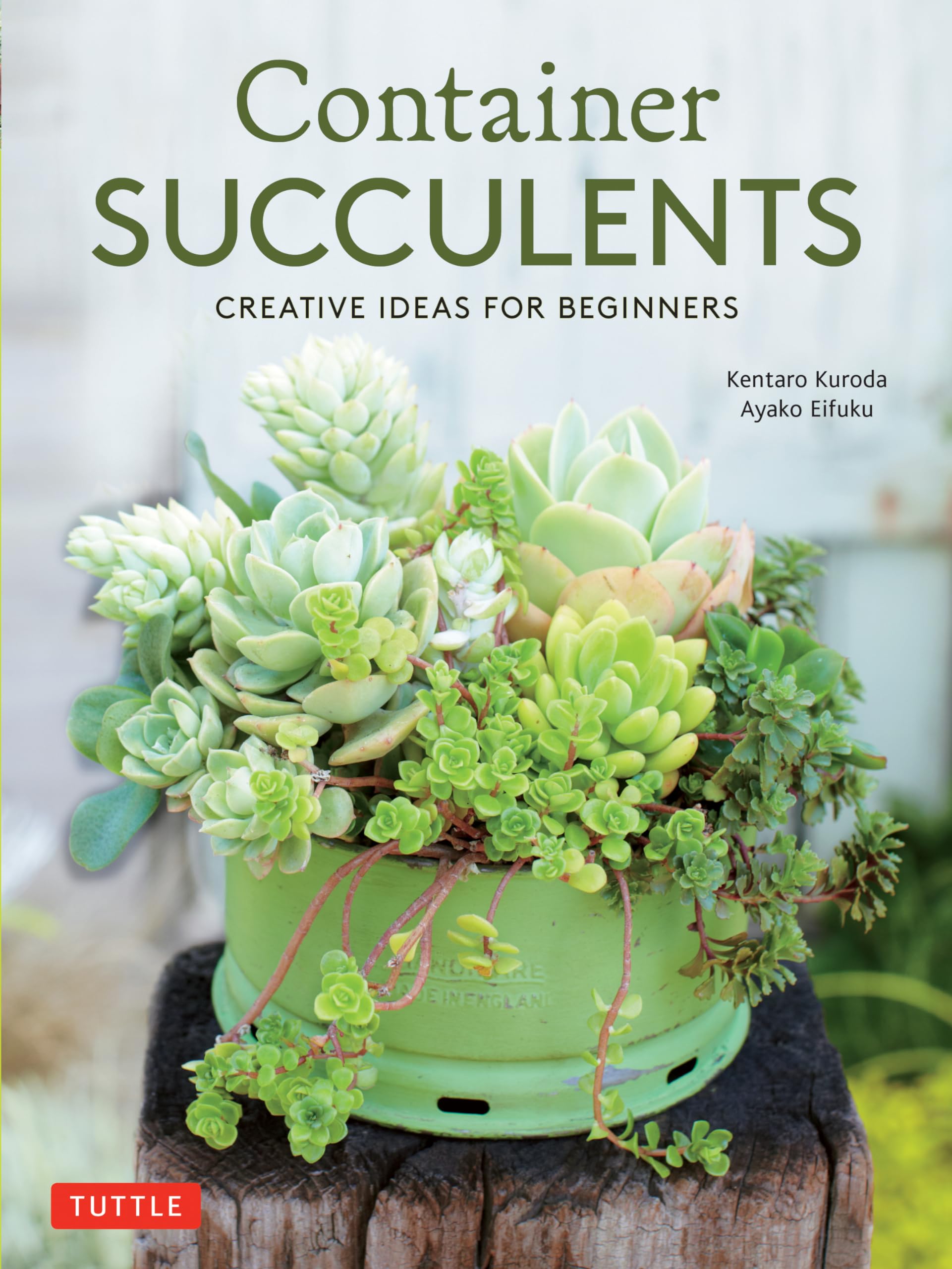 Container Succulents: Creative Ideas For Beginners,Used