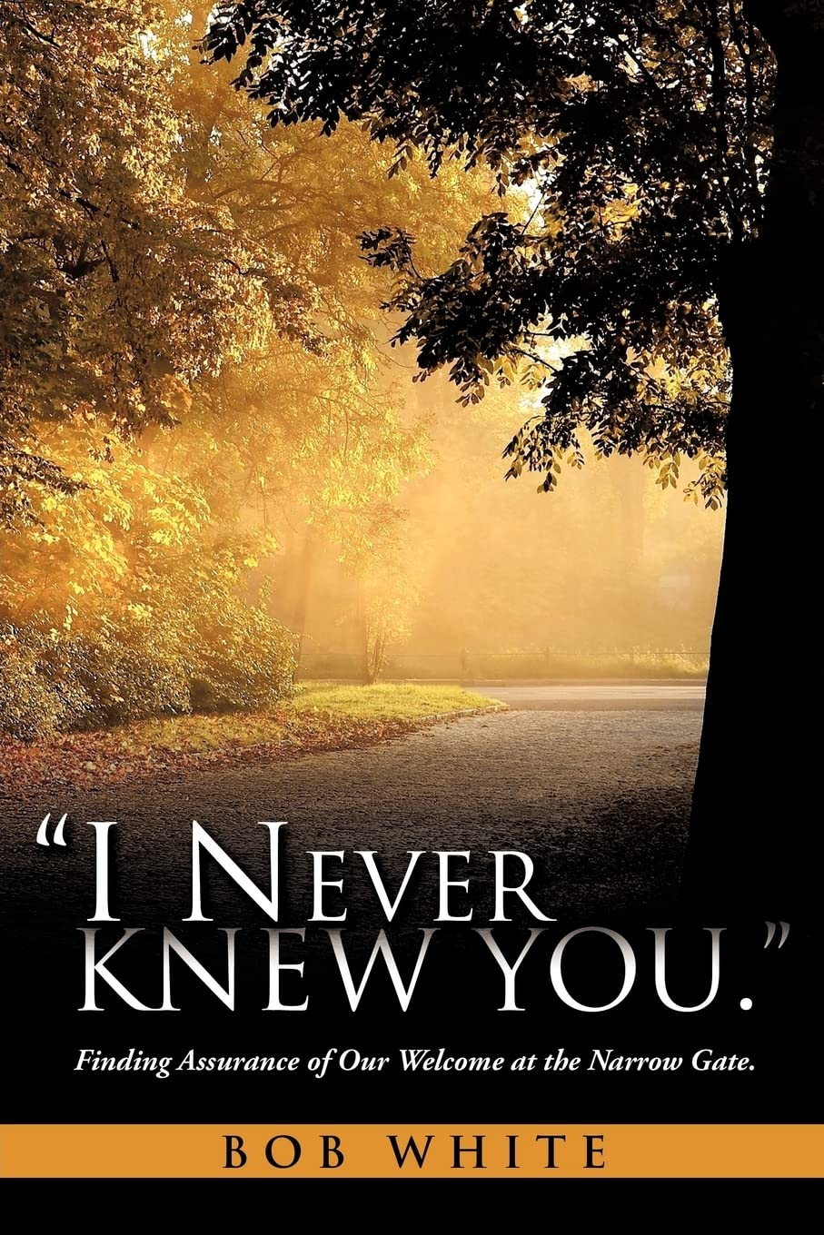 I Never Knew You.',Used