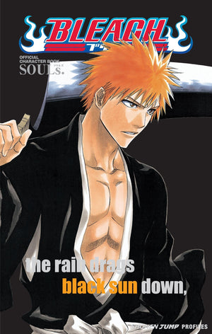 Bleach SOULs. Official Character Book,New