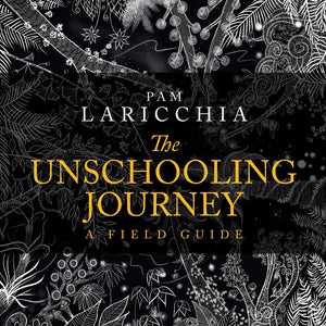 The Unschooling Journey: A Field Guide,Used