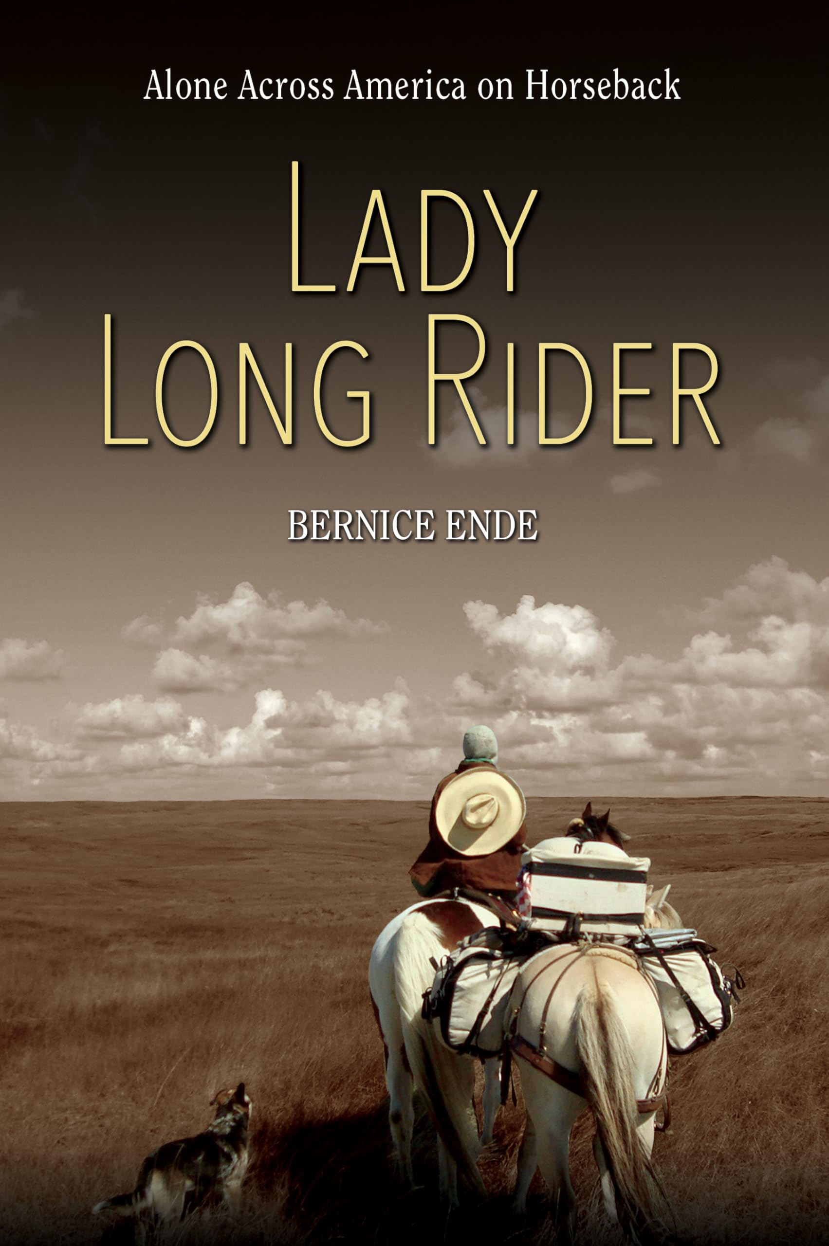 Lady Long Rider: Alone Across America on Horseback,Used